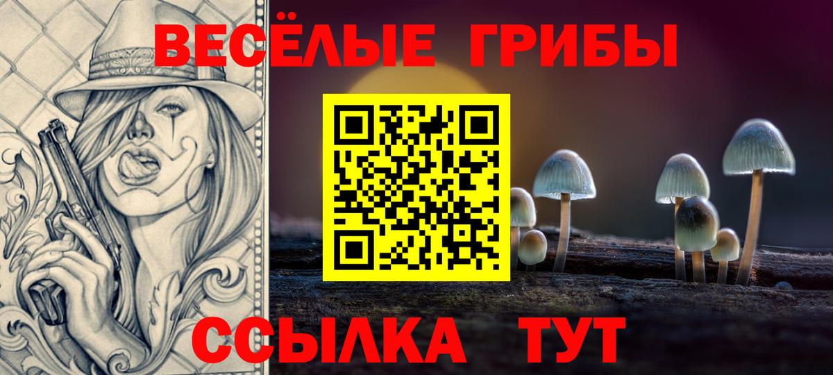 Псилоцибиновые грибы прущие грибы  Вход с VPN  Зерноград 