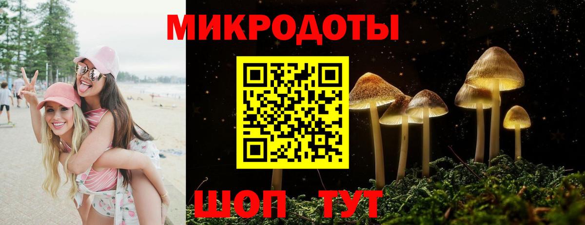Галлюциногенные грибы мицелий Зерноград